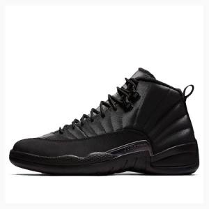 Air Jordan 12 Nike Retro WNTR Winterized - Anthracite Tênis de Basquete Masculino Pretas | JD-145PW