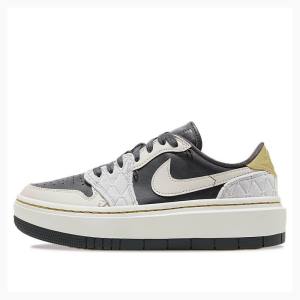 Air Jordan 1 Nike Elevate Low SE Anthracite Tênis Feminino Branco Pretas | JD-672SD